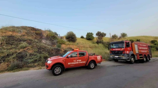 Efeler'de arazi yangını korkuttu