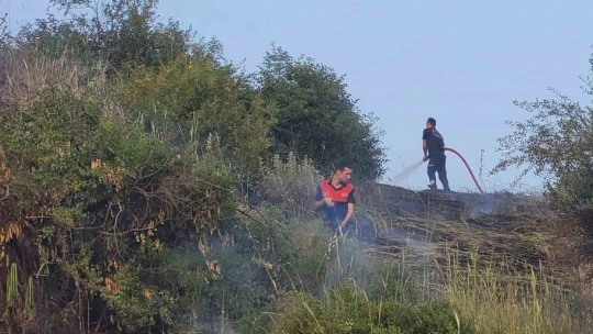 Efeler'de arazi yangını korkuttu