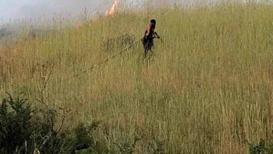 Efeler'de arazi yangını korkuttu