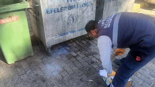 Efeler'de belediye ekiplerince temizlik aksamıyor