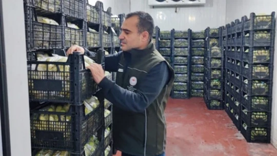 Efeler'de hafta sonu mesaisi