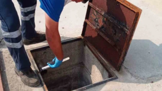 Efeler'de ilaçlama çalışmaları aralıksız sürüyor
