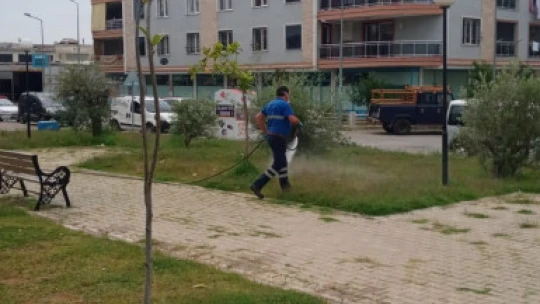Efeler'de ilaçlama çalışmaları aralıksız sürüyor