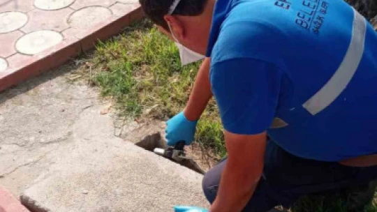 Efeler'de ilaçlama çalışmaları aralıksız sürüyor