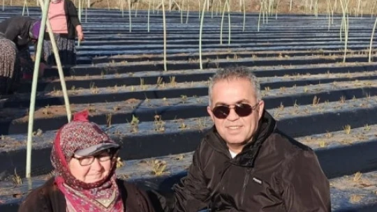 Efeler'de kış çilekleri toprakla buluştu