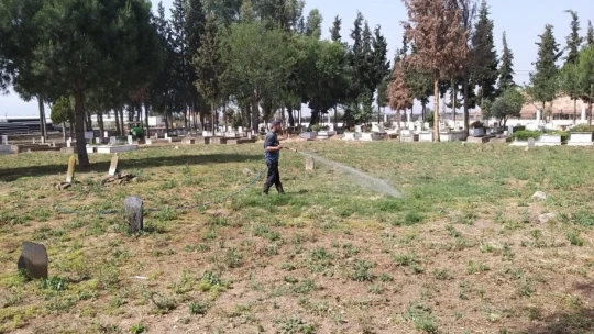 Efeler'de mezarlıklar temizleniyor