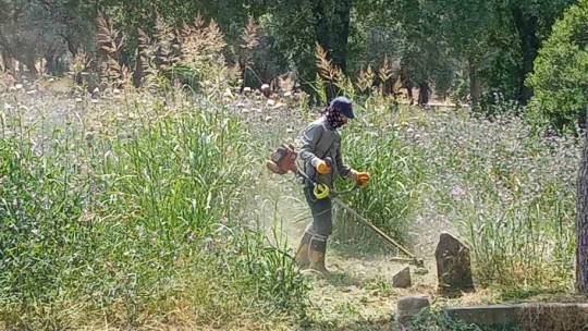 Efeler'de mezarlıklar temizleniyor