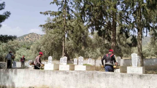 Efeler'de mezarlıklar temizleniyor