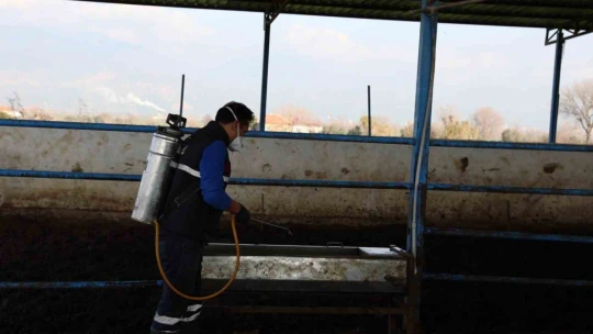 Efeler'de sineklerle mücadele yıl boyunca devam ediyor