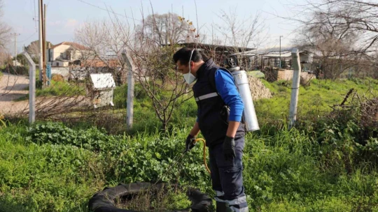 Efeler'de sineklerle mücadele yıl boyunca devam ediyor