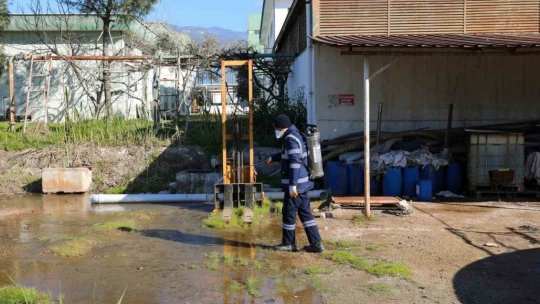 Efeler'de sineklerle mücadele 12 ay boyunca devam ediyor