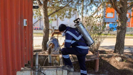Efeler'de sineklerle mücadele 12 ay boyunca devam ediyor