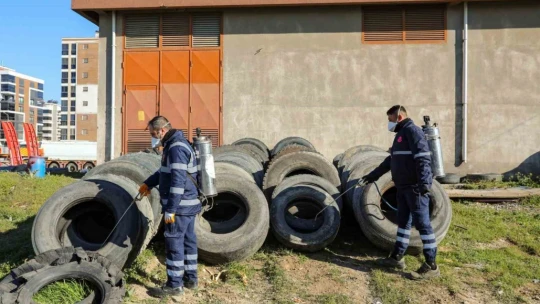 Efeler'de sineklerle mücadele 12 ay boyunca devam ediyor
