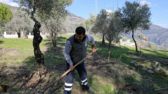 Efeler'den Gölcük Mahallesi mezarlığında kapsamlı çalışma
