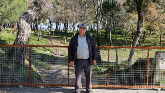 Efeler'den Gölcük Mahallesi mezarlığında kapsamlı çalışma