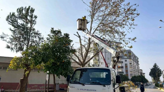 Efeler'in ekipleri kent genelinde çalışmalarını sürdürüyor