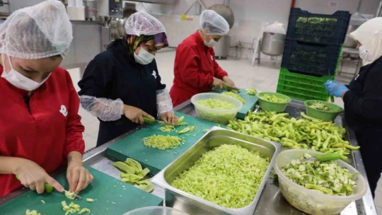 Efeler'in fabrikasında kadınlar üretiyor