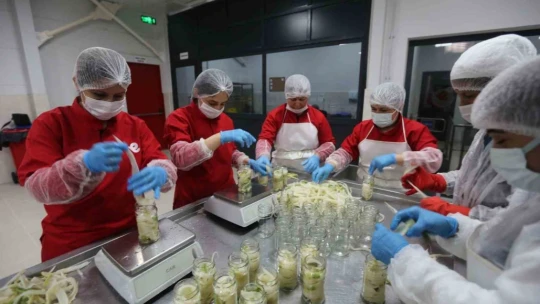 Efeler'in fabrikasında kadınlar üretiyor