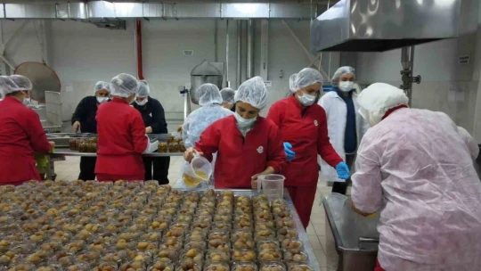 Efeler'in fabrikasında kadınlar üretiyor
