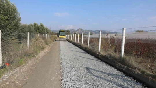 Efeler'in yolları yenileniyor
