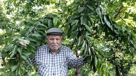 Ege bu yıl meyveye hasret