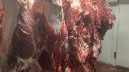 Ege'de düğün sezonu başladı, köfte yoğurmak meslek oldu