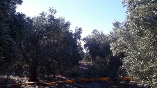 Ekipler sahaya indi, zararlı kontrolleri yapıldı