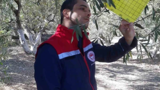 Ekipler sahaya indi, zararlı kontrolleri yapıldı