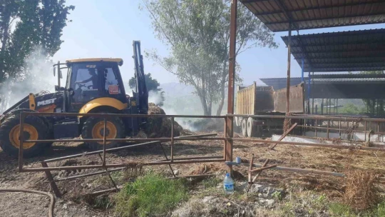 Ekiplerin hızlı müdahalesi 60 hayvanı kurtardı