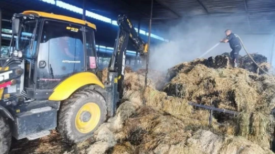 Ekiplerin hızlı müdahalesi 60 hayvanı kurtardı
