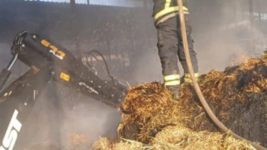 Ekiplerin hızlı müdahalesi 60 hayvanı kurtardı