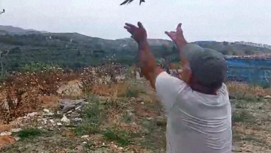 EKODOSD, doğal sivrisinek yok edici ebabil kuşlarına dikkat çekti