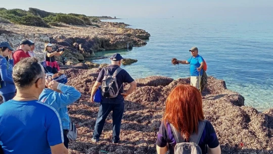 EKODOSD'tan deniz çayırlarını koruma çağrısı