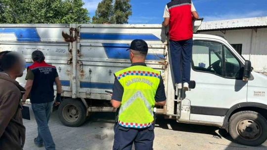 Eksik evrakla canlı hayvan taşıyan 2 kişi cezadan kaçamadı