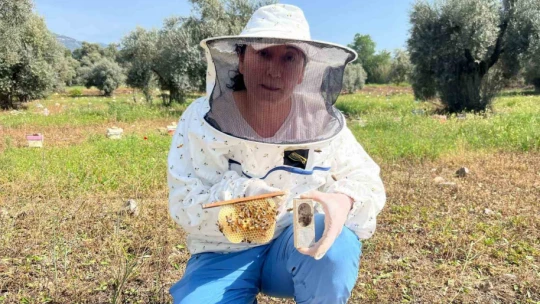 El ele veren gelin-görümce ülkenin ana arı ihtiyacını karşılıyor