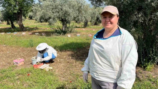 El ele veren gelin-görümce ülkenin ana arı ihtiyacını karşılıyor