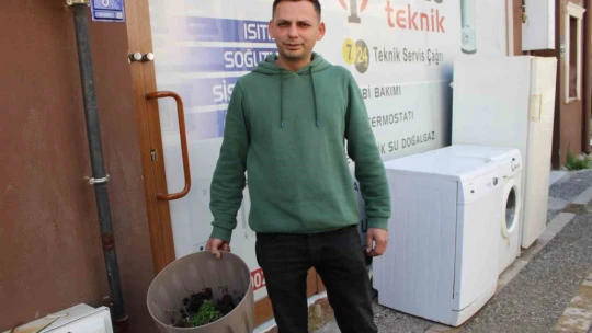 Esnafın çağrısını duyan hırsız, çaldığı süs bitkisini geri getirdi