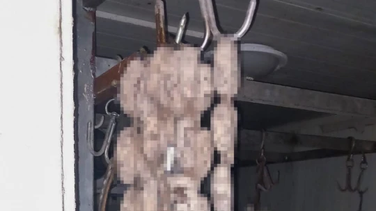 Etlerin çürüyüp koktuğu kasap dükkanını Efeler Belediyesi temizledi
