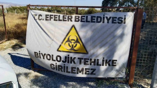 Etlerin çürüyüp koktuğu kasap dükkanını Efeler Belediyesi temizledi