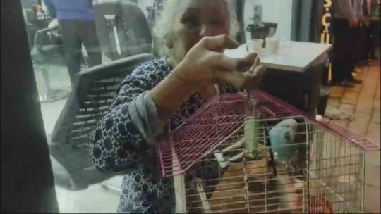 Evi yanan yaşlı kadın, can yoldaşını ölüme terk etmedi