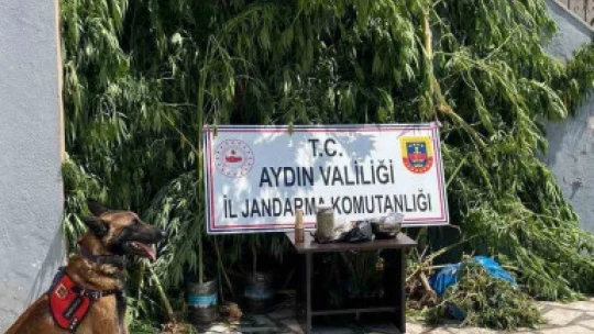 Evinin bahçesine saklamak istedi, narkotik köpeğine takıldı