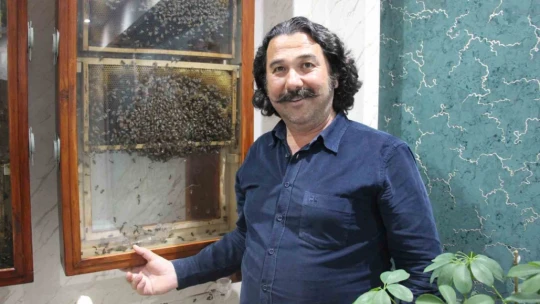 Fabrikasında 5 bin işçi ile 'bal' gibi çalışıyor