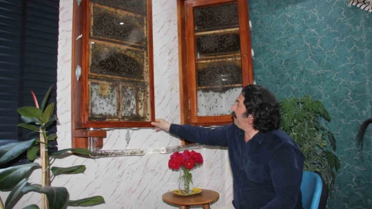 Fabrikasında 5 bin işçi ile 'bal' gibi çalışıyor