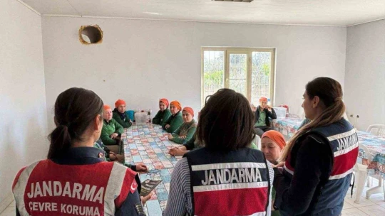 Fıstık işçileri kadına karşı şiddet konusunda bilgilendirildi