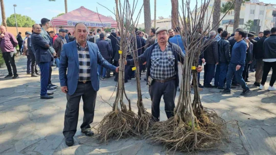 Gal arısı zararlısına karşı geliştirilen kestane fidanları üreticiye dağıtıldı