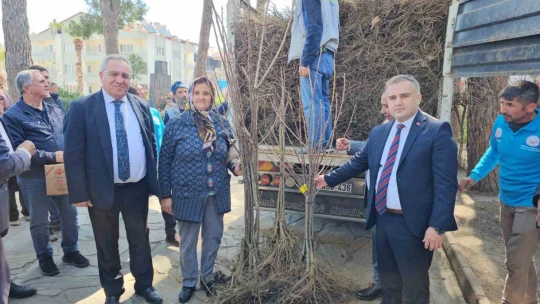 Gal arısı zararlısına karşı geliştirilen kestane fidanları üreticiye dağıtıldı