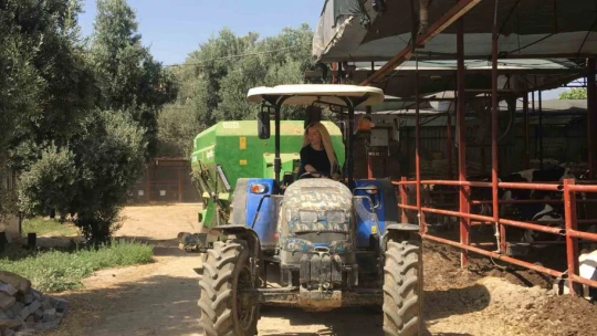 Gazeteciliği bıraktı 'hastalıktan ari' çiftlik kurdu