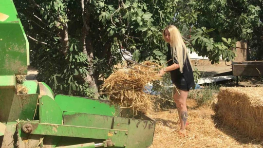 Gazeteciliği bıraktı 'hastalıktan ari' çiftlik kurdu