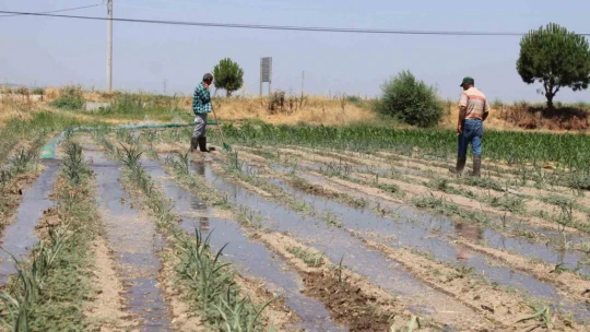 Gençlerin masa başı iş sevdası Türk tarımına alarm verdiriyor