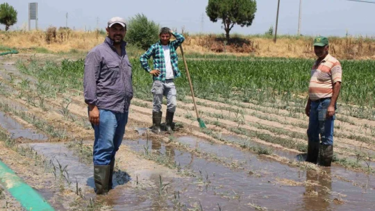 Gençlerin masa başı iş sevdası Türk tarımına alarm verdiriyor